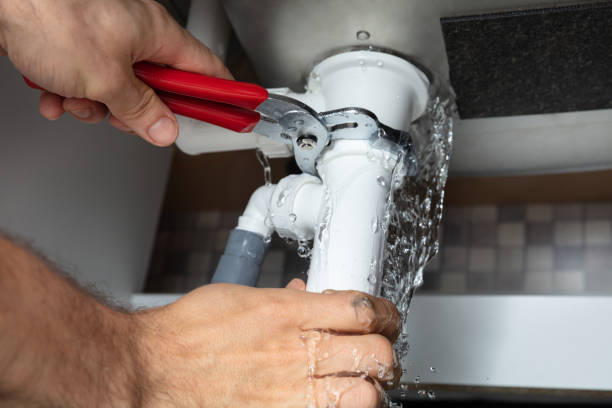 Best Mold removal after water damage  in Lyndon, KS